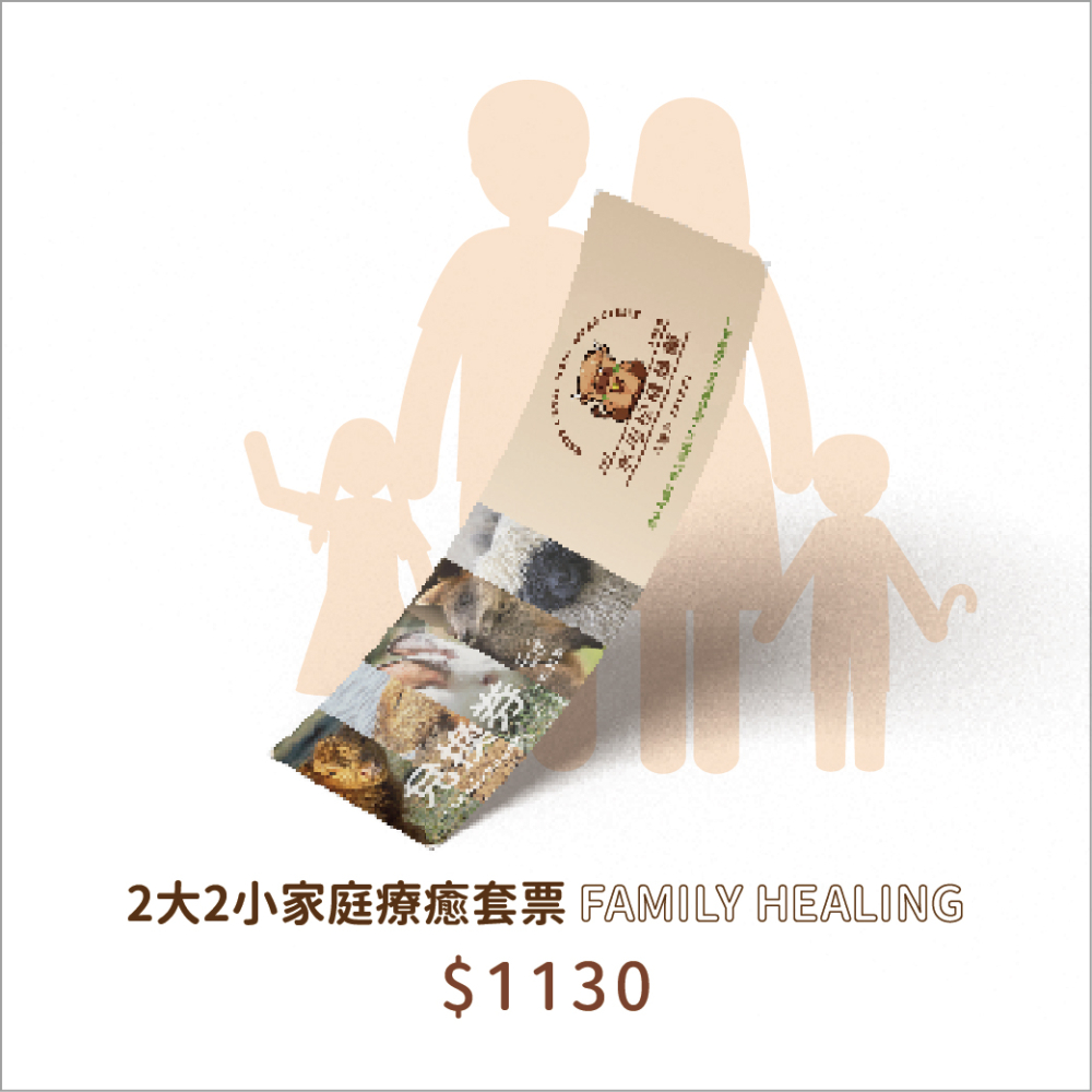 家庭套票方案(2大2小)